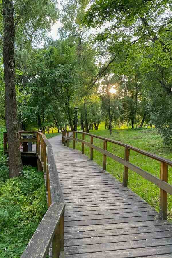 A quiet outdoor path in soft light, suitable for a calm ride